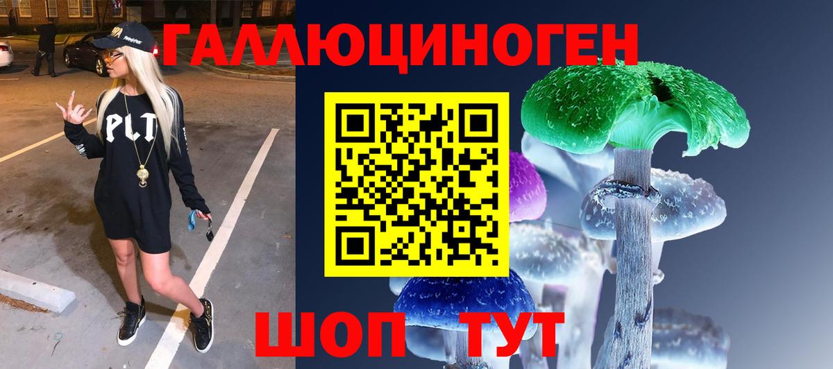 Псилоцибиновые грибы GOLDEN TEACHER  цена наркотик  Людиново  Вход с VPN  Псилоцибиновые грибы мухоморы 