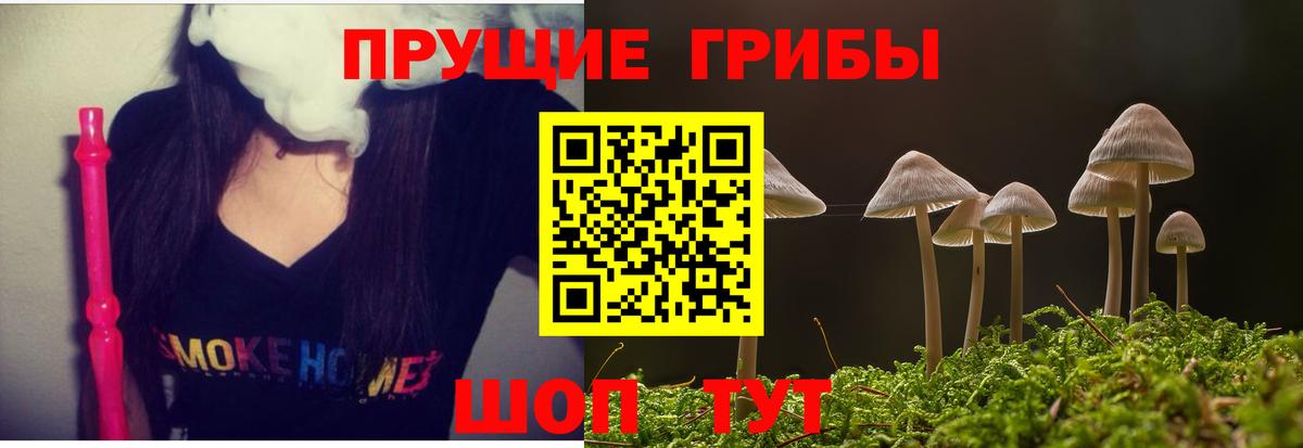 Псилоцибиновые грибы мицелий Людиново